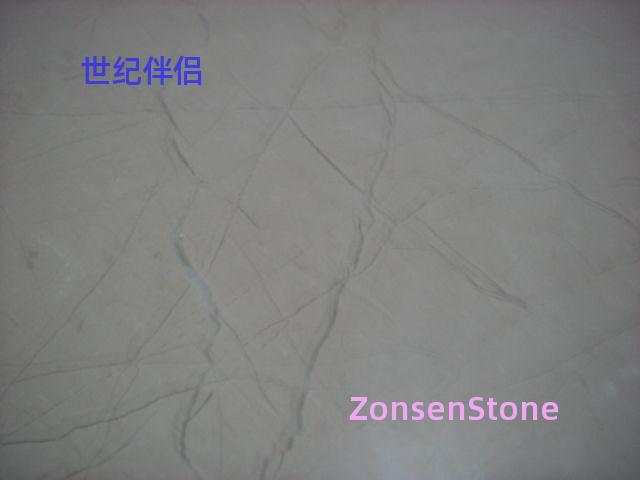 世纪伴侣