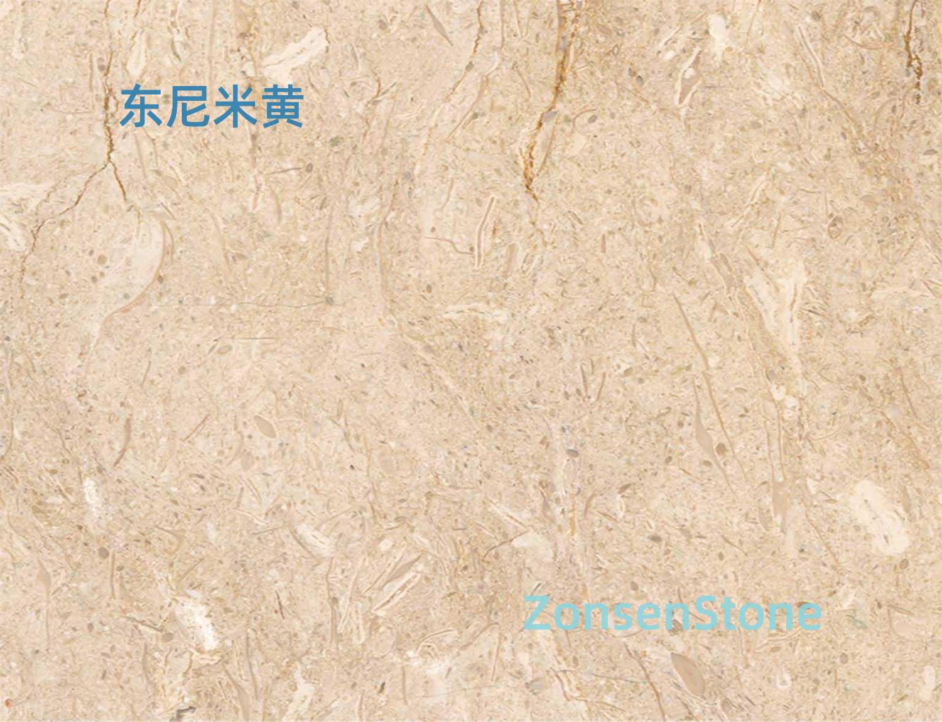 东尼米黄