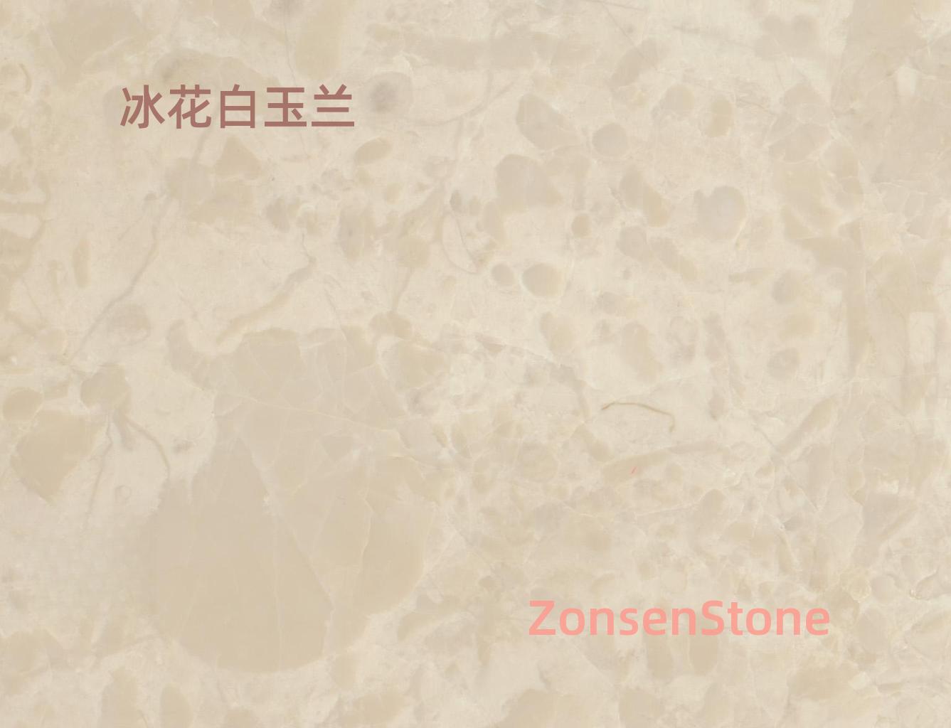 冰花白玉兰