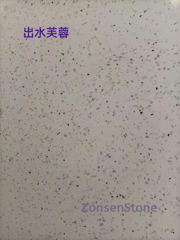 出水芙蓉