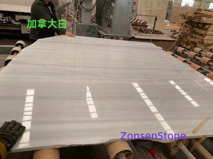 加拿大白