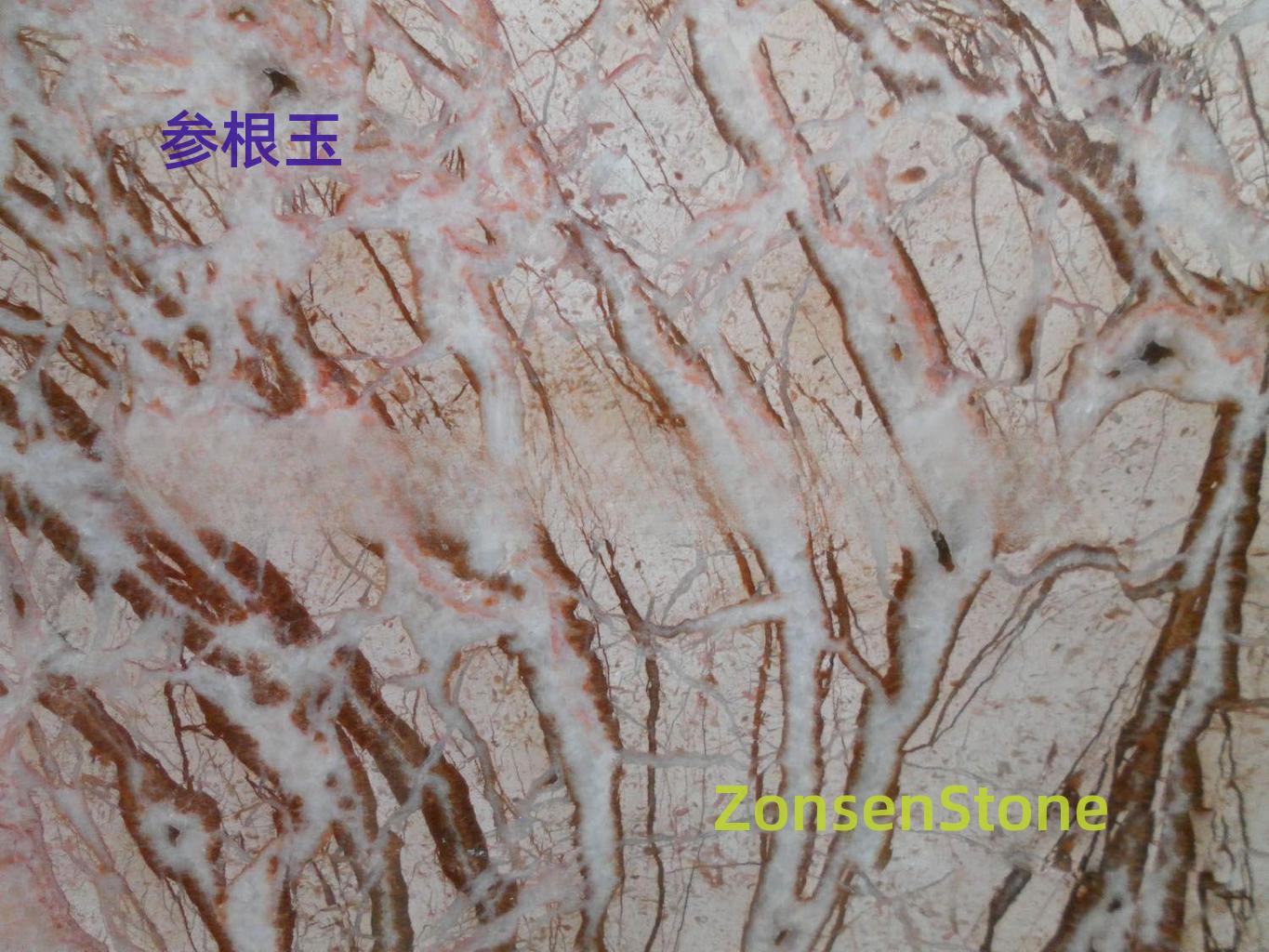 参根玉