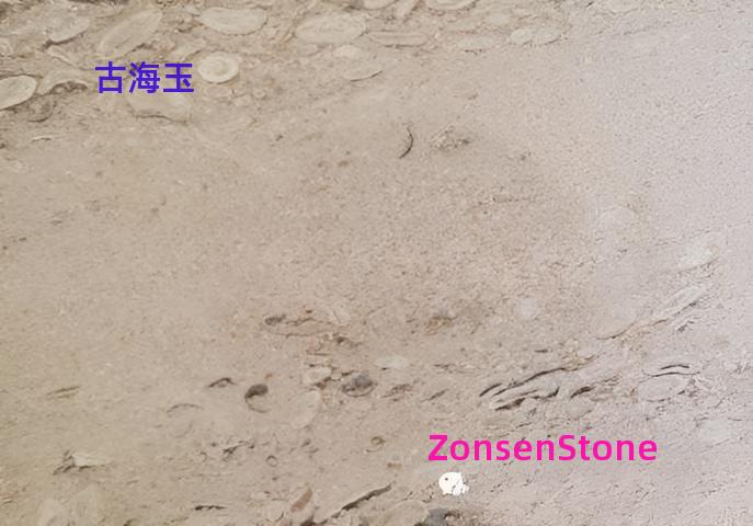 古海玉