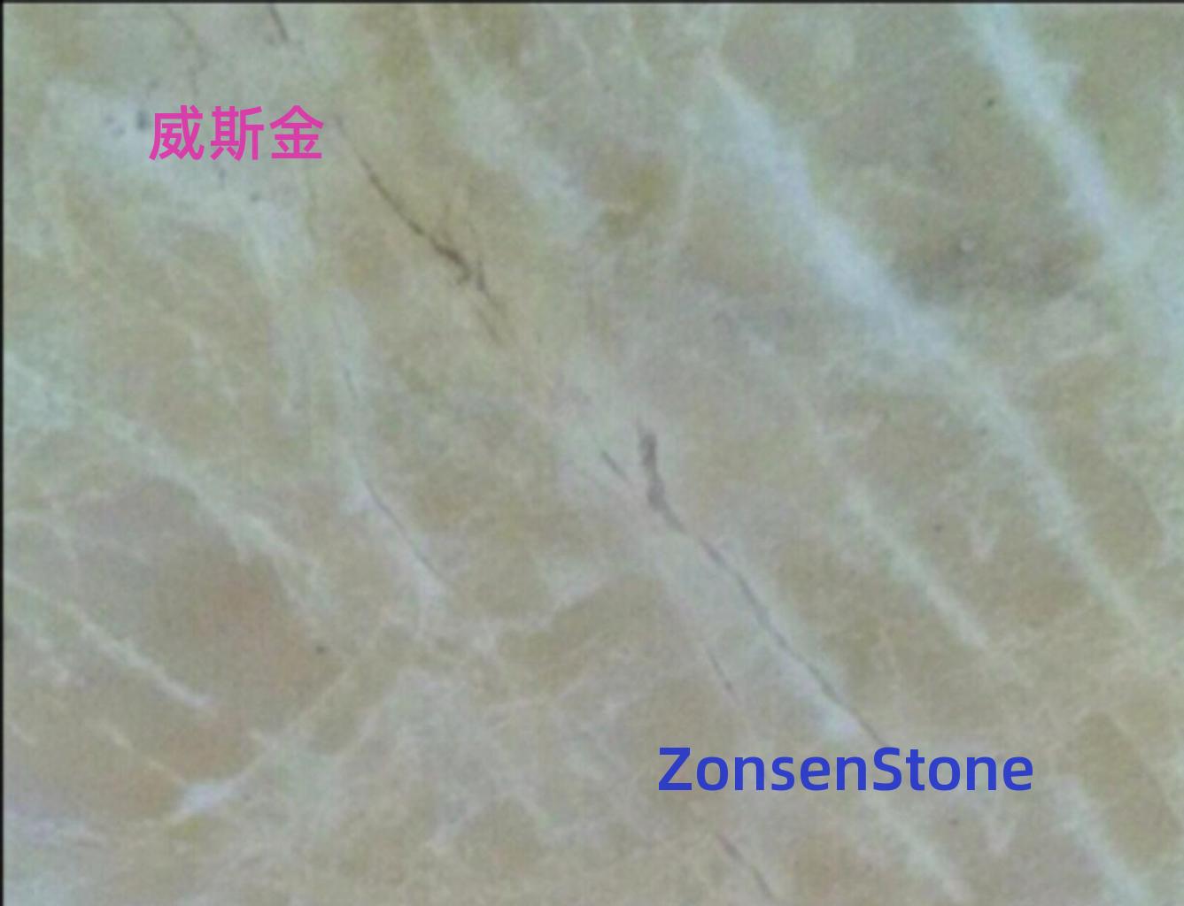 威斯金