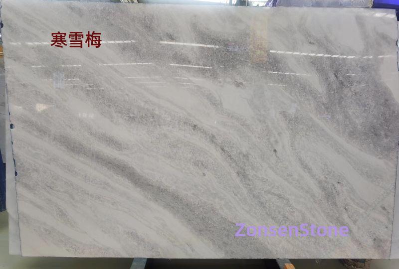 寒雪梅