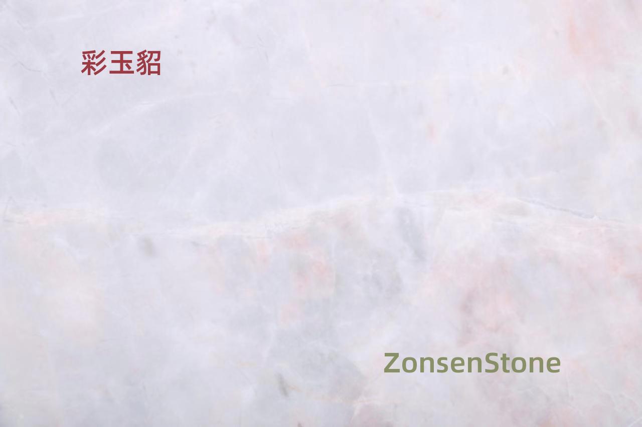 彩玉貂
