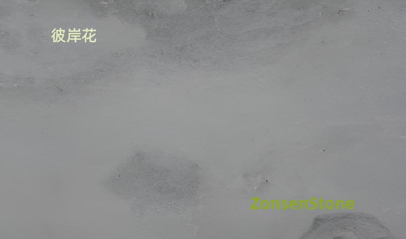彼岸花