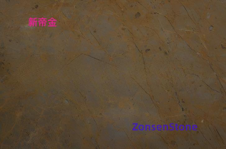 新帝金