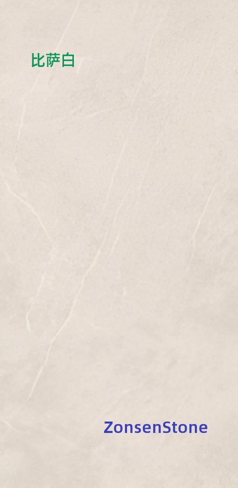 比萨白