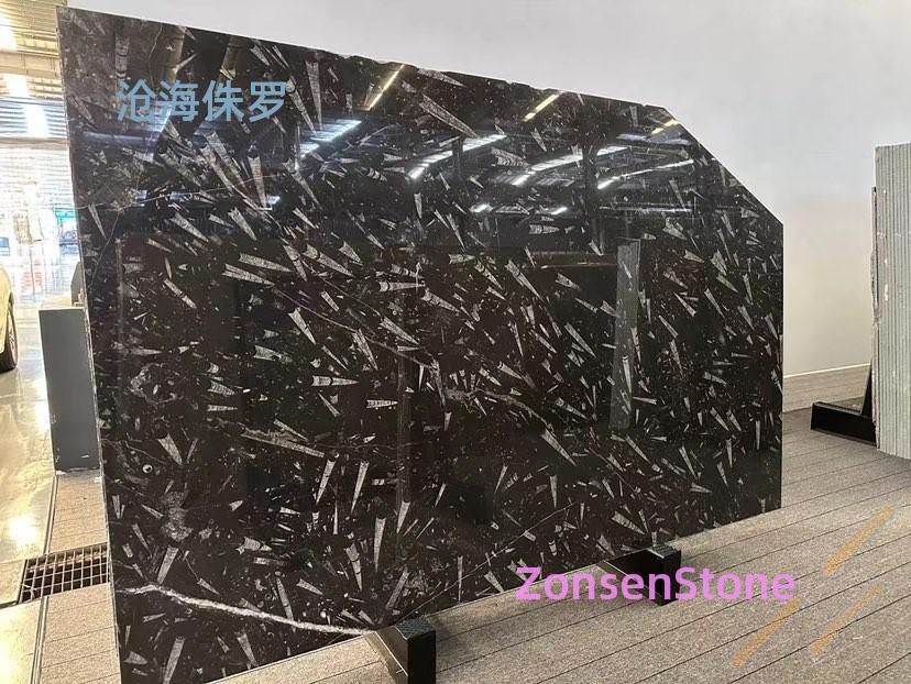 沧海侏罗