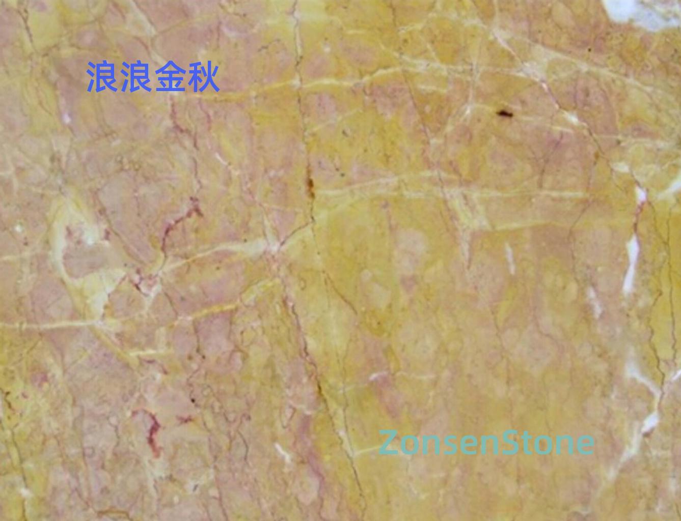 浪浪金秋