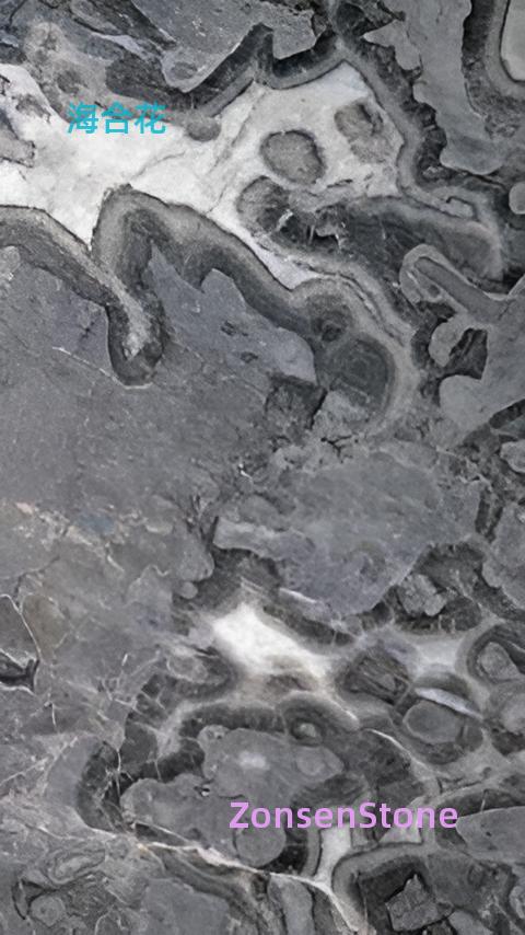海合花