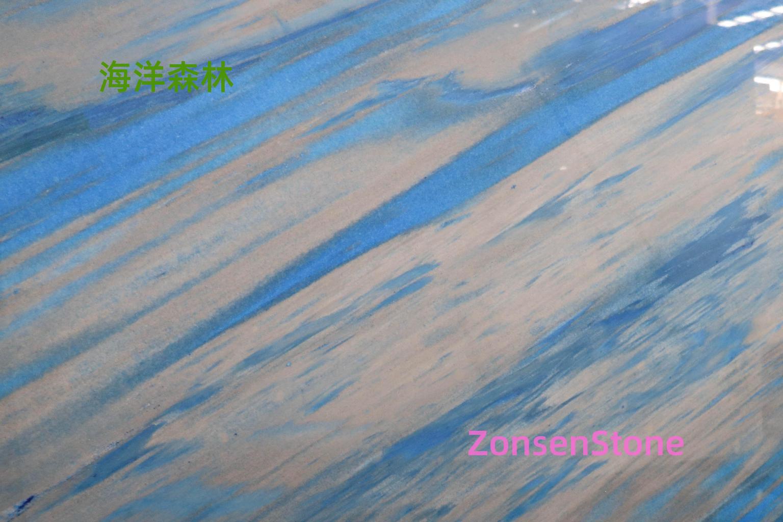 海洋森林