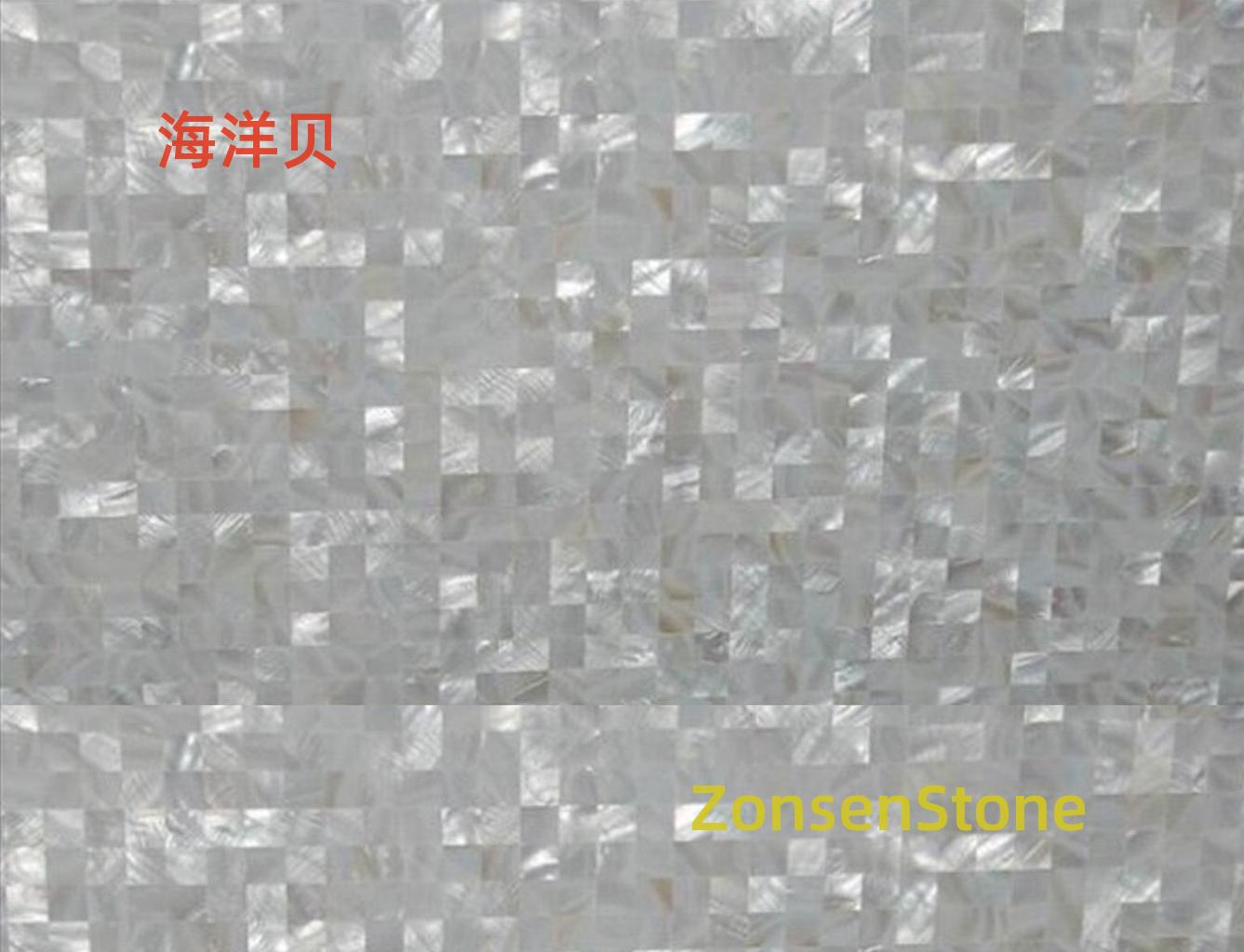 海洋贝