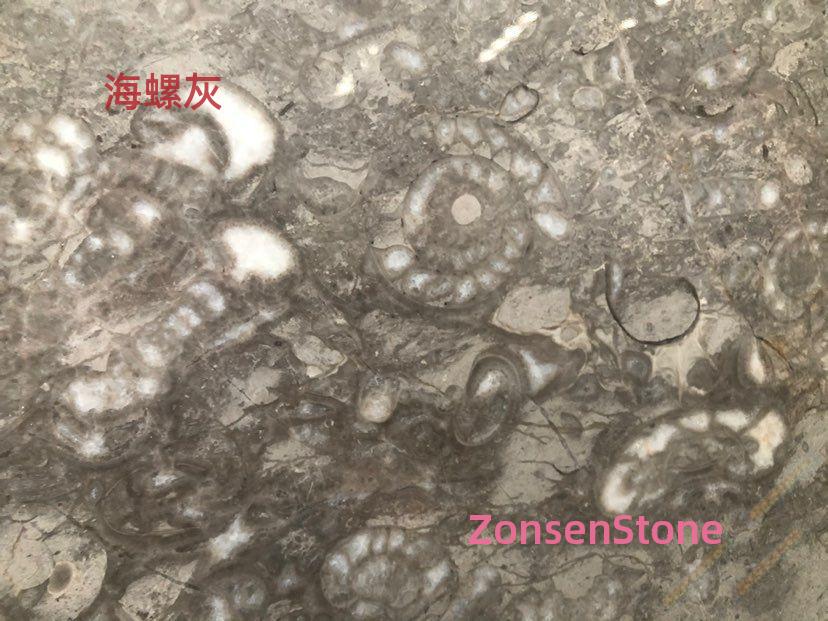 海螺灰
