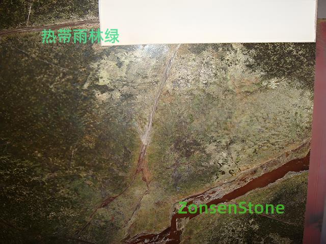 热带雨林绿