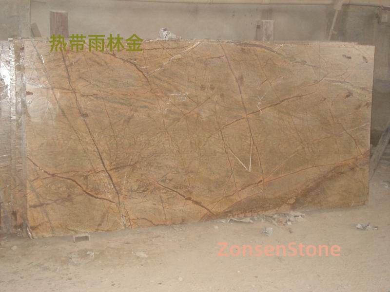 热带雨林金