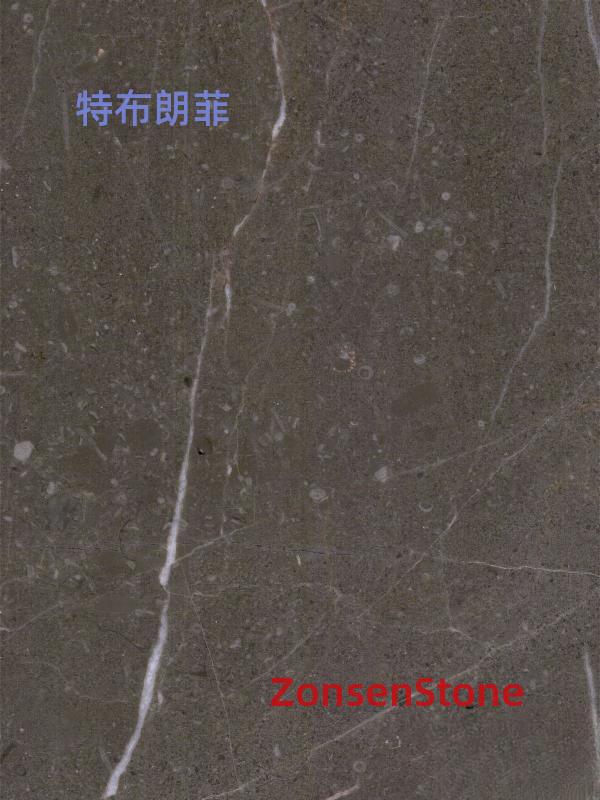 特布朗菲