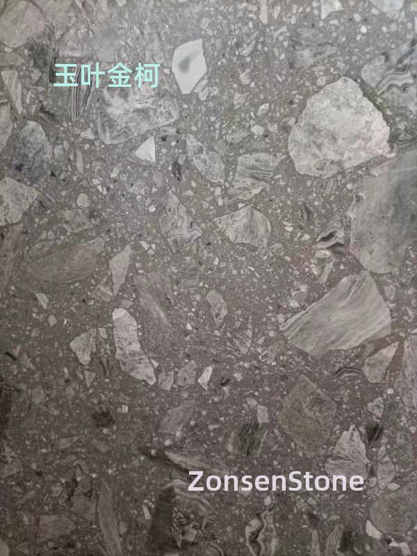 玉叶金柯