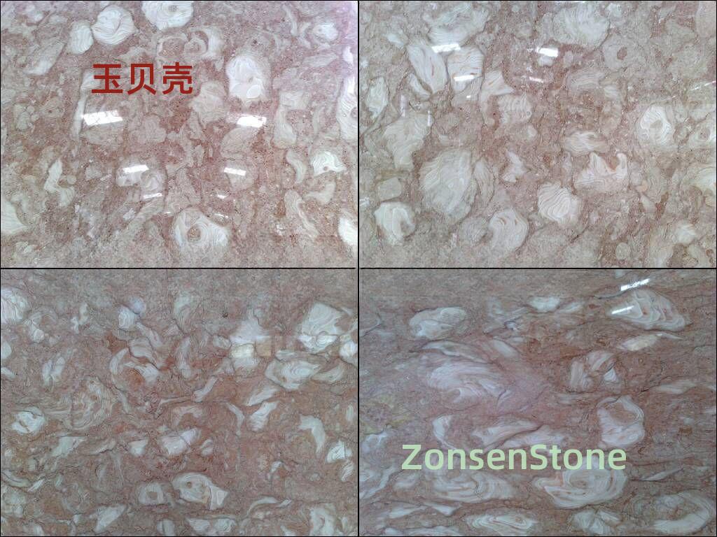 玉贝壳