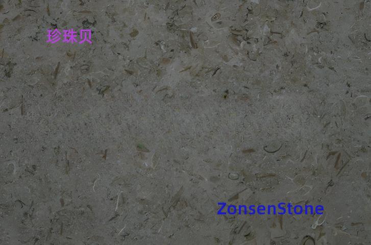 珍珠贝