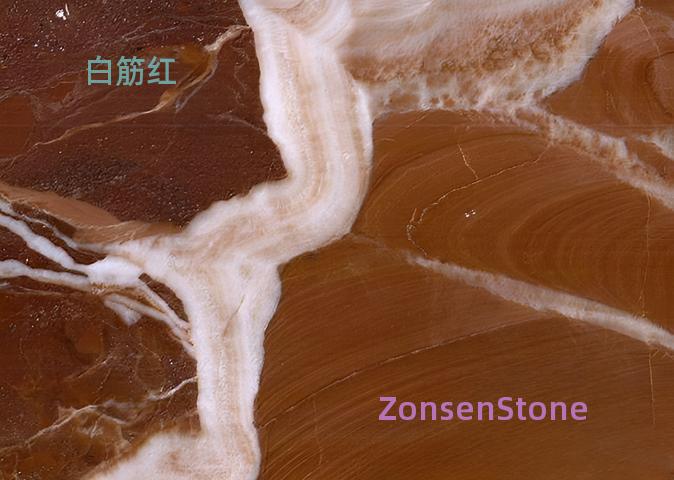 白筋红