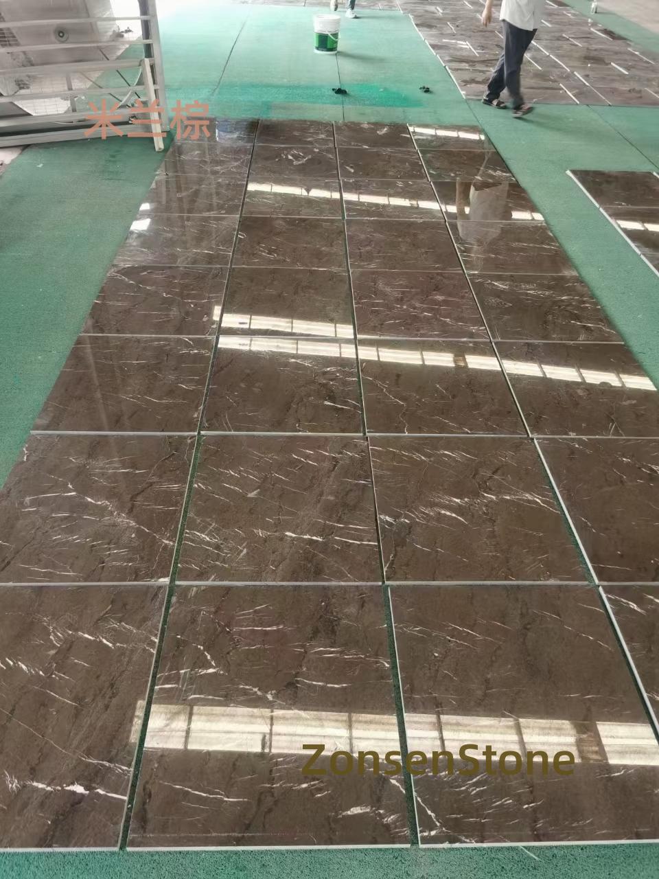 米兰棕