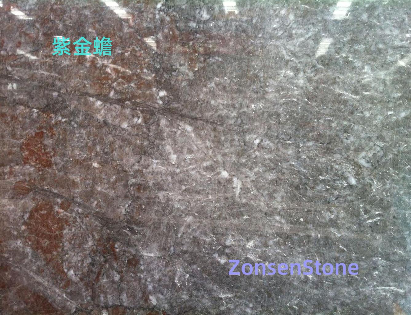 紫金蟾