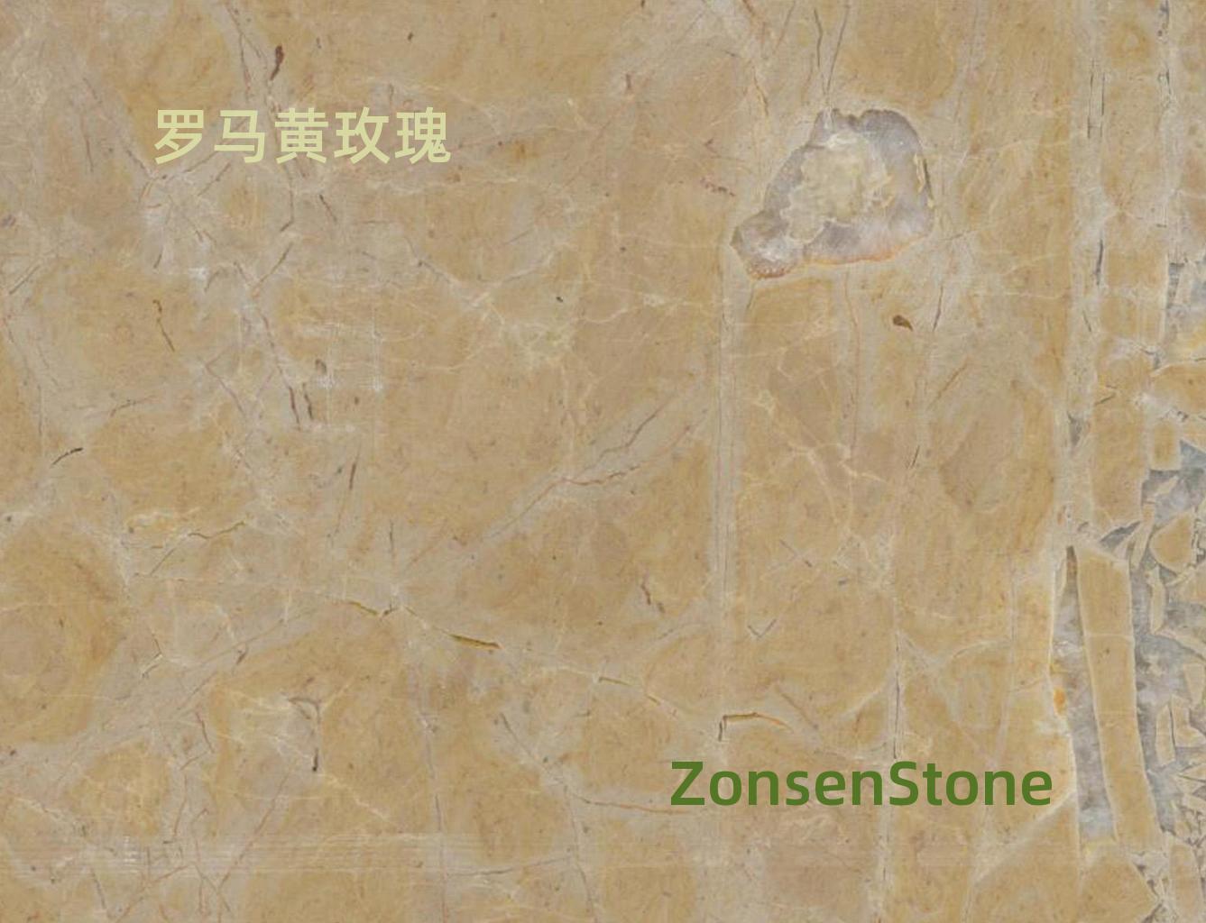 罗马黄玫瑰