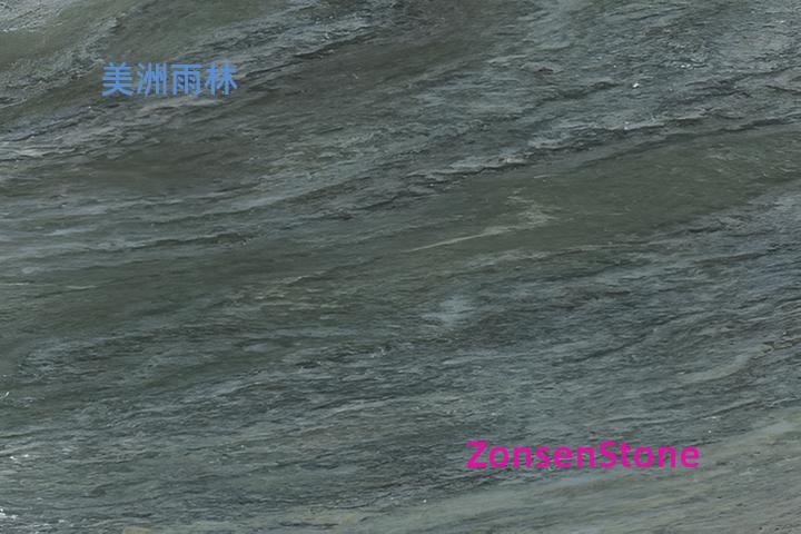 美洲雨林