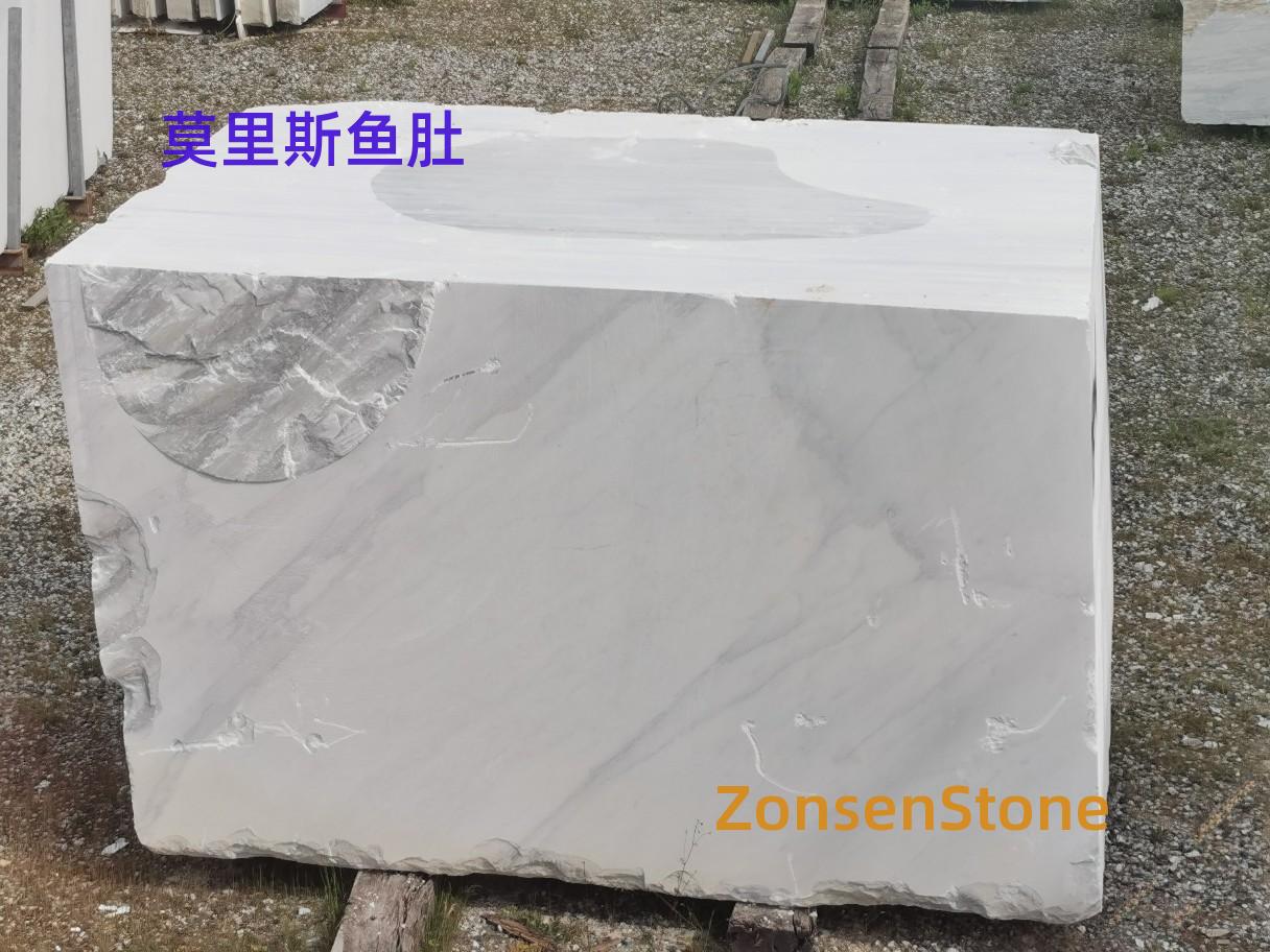 莫里斯鱼肚