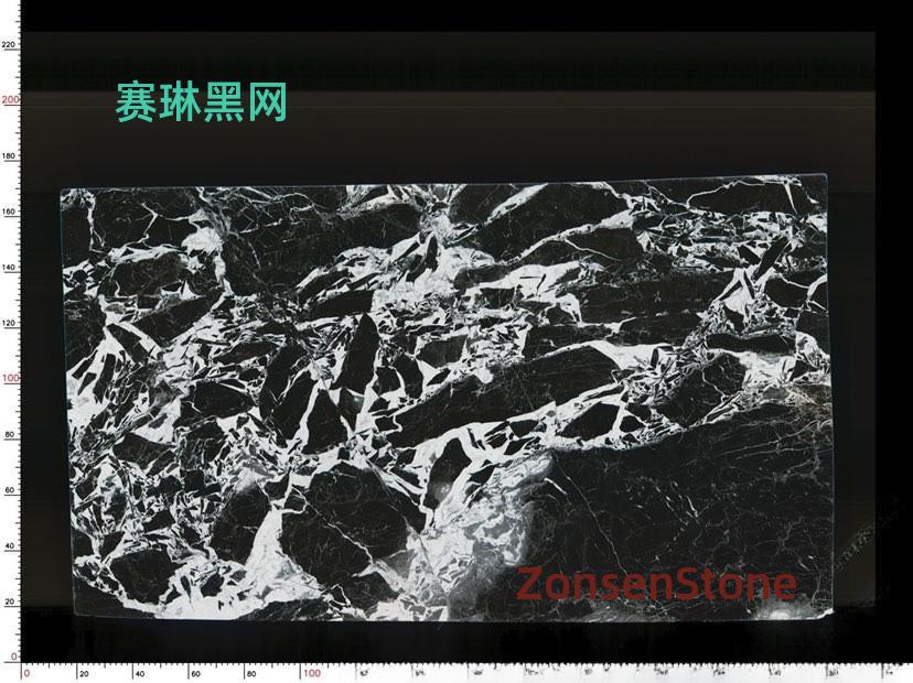 赛琳黑网