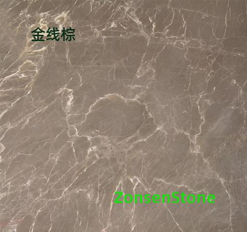 金线棕