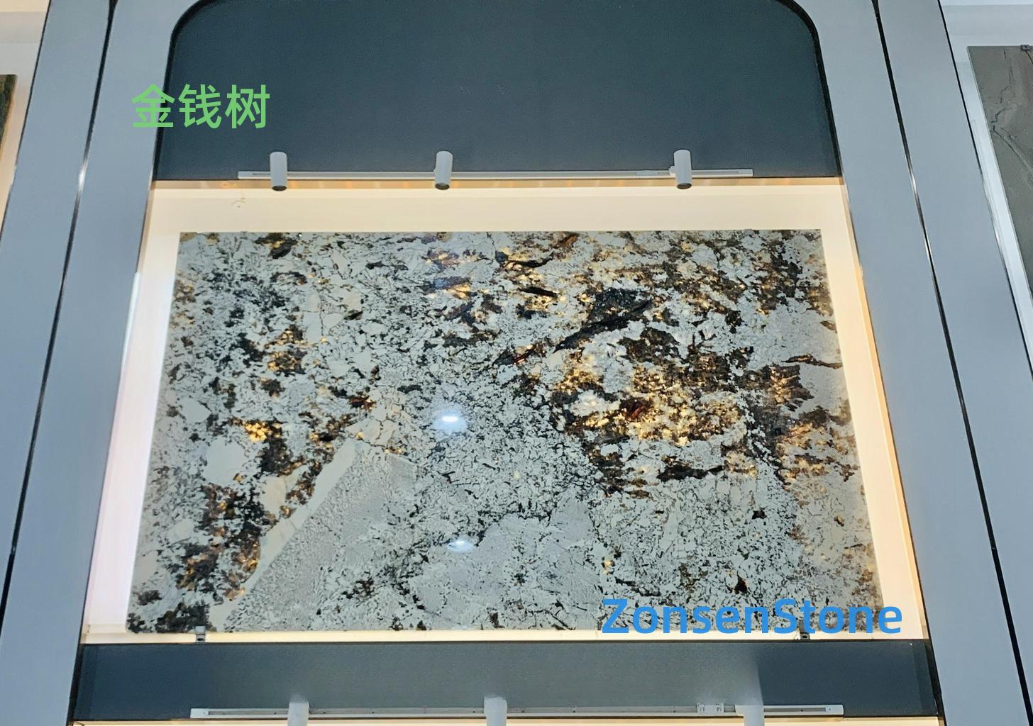金钱树
