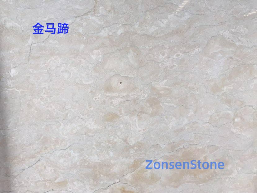 金马蹄