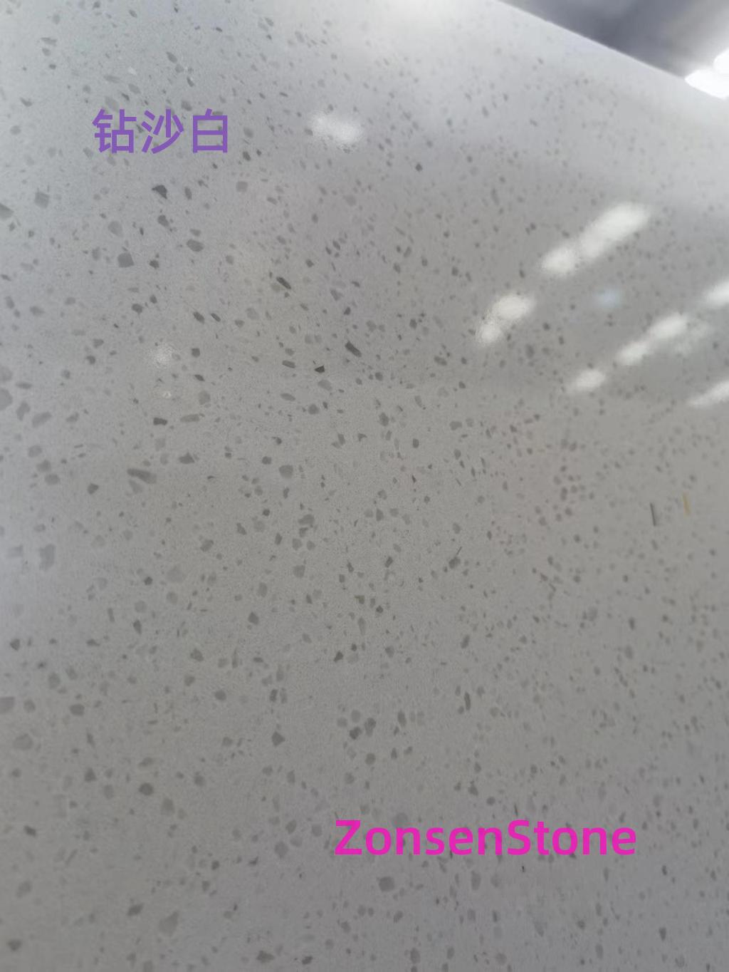 钻沙白