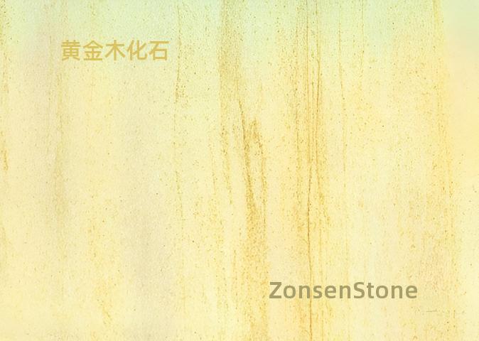 黄金木化石