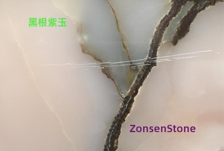 黑根紫玉
