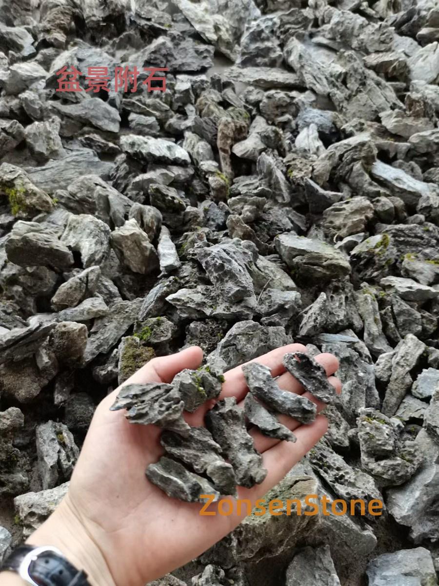 盆景附石