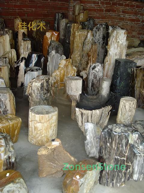 硅化木