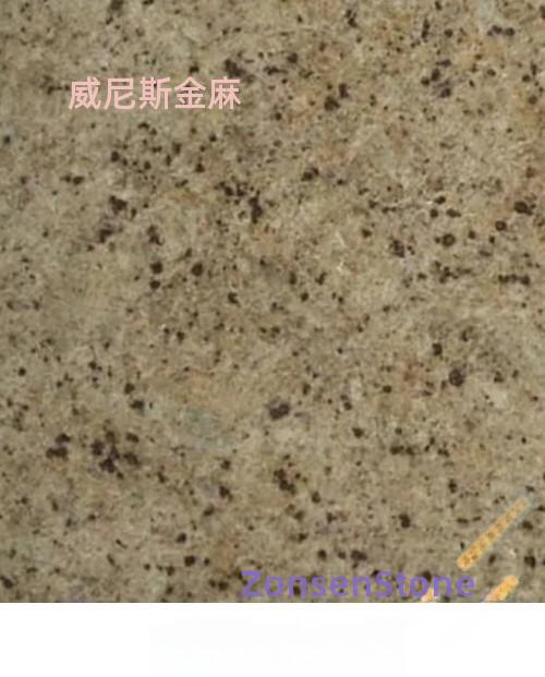 威尼斯金麻