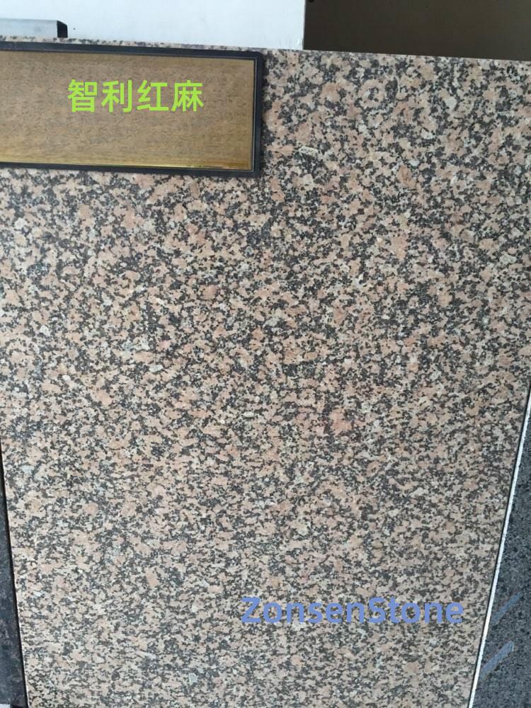 智利红麻