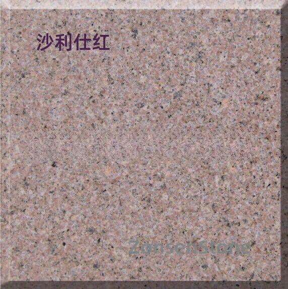沙利仕红