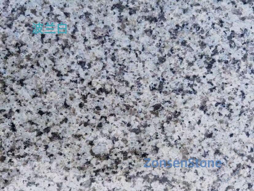 波兰白