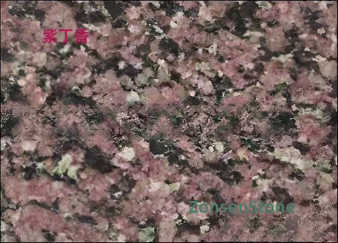 紫丁香