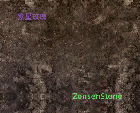 紫星玫瑰