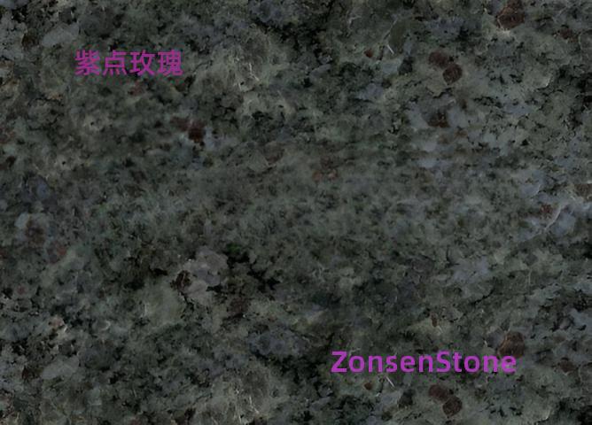 紫点玫瑰