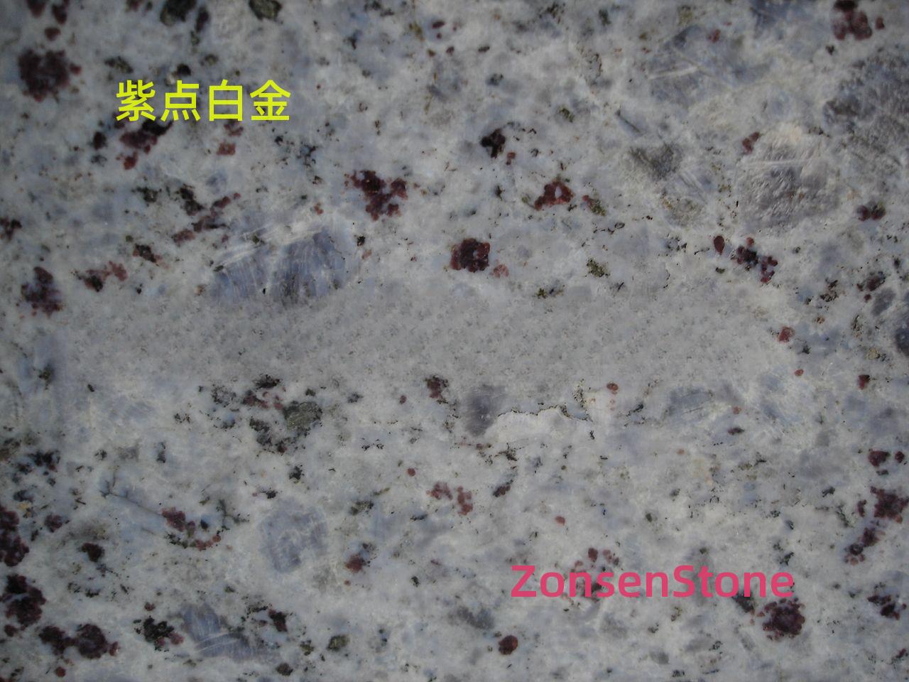 紫点白金