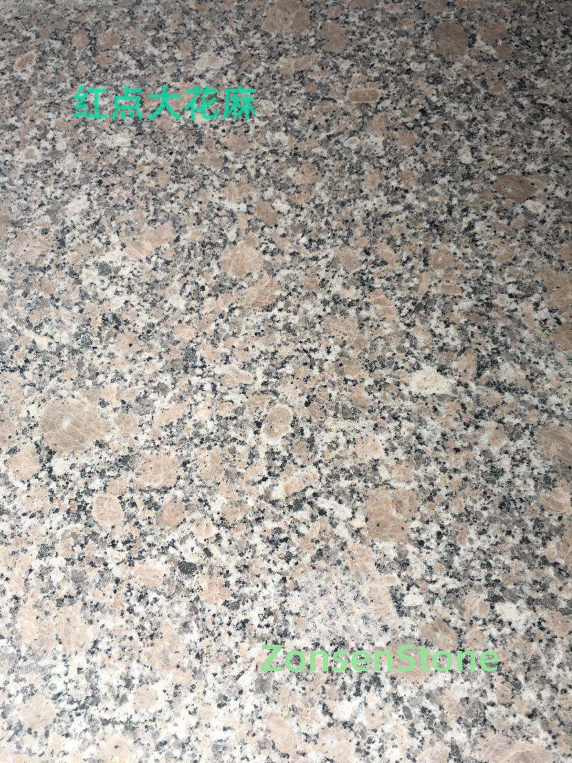 红点大花麻