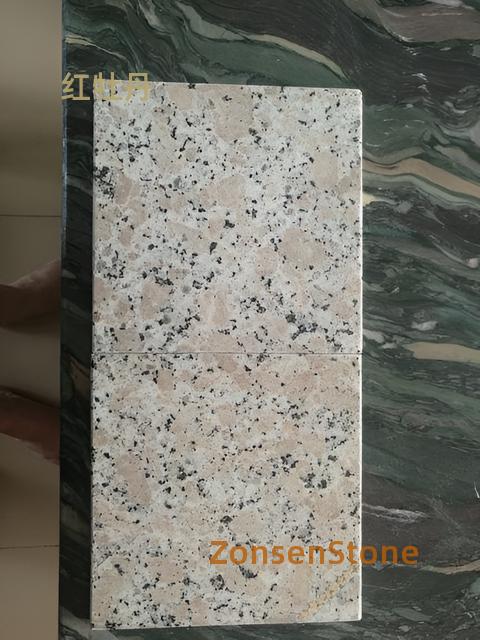 红牡丹
